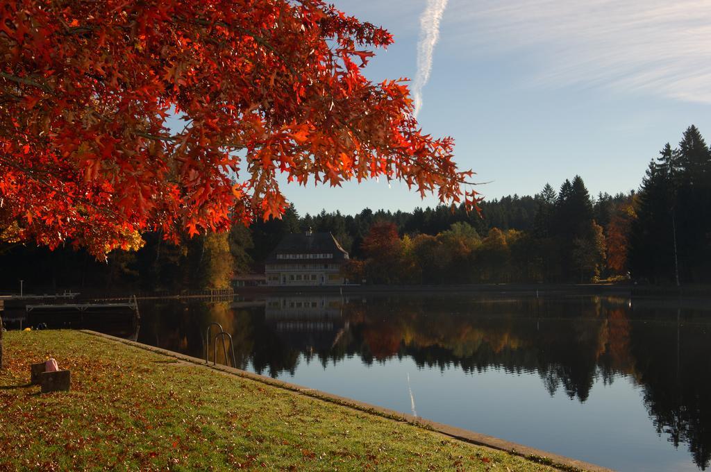 Hotel Waldsee Lindenberg im Allgäu Eksteriør bilde
