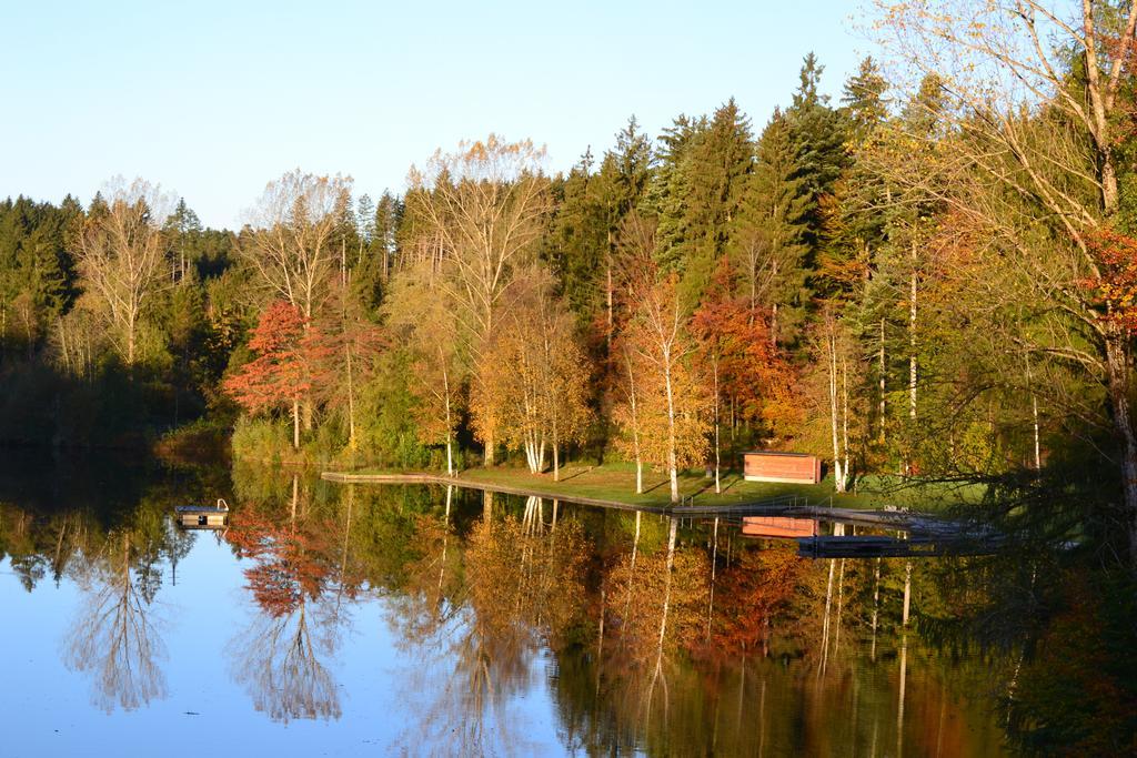 Hotel Waldsee Lindenberg im Allgäu Eksteriør bilde