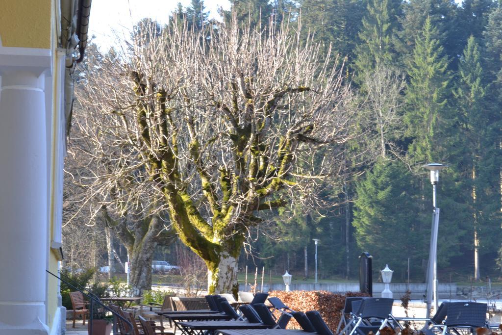 Hotel Waldsee Lindenberg im Allgäu Eksteriør bilde