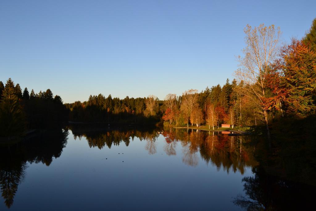 Hotel Waldsee Lindenberg im Allgäu Eksteriør bilde