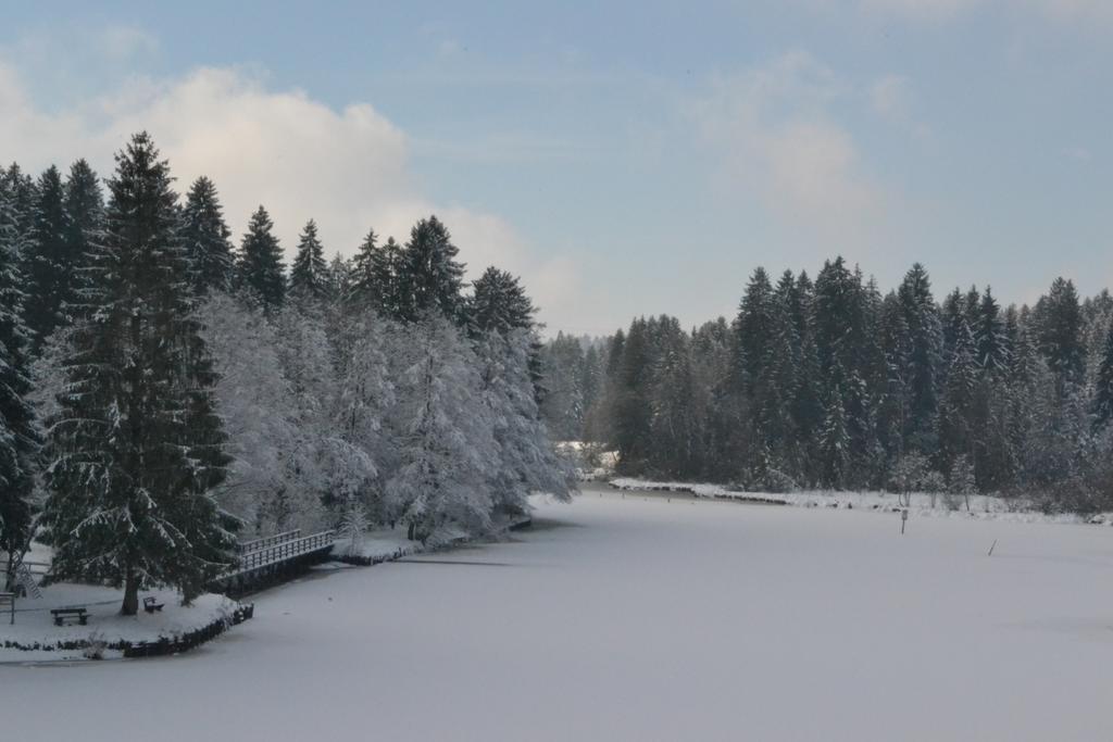 Hotel Waldsee Lindenberg im Allgäu Eksteriør bilde