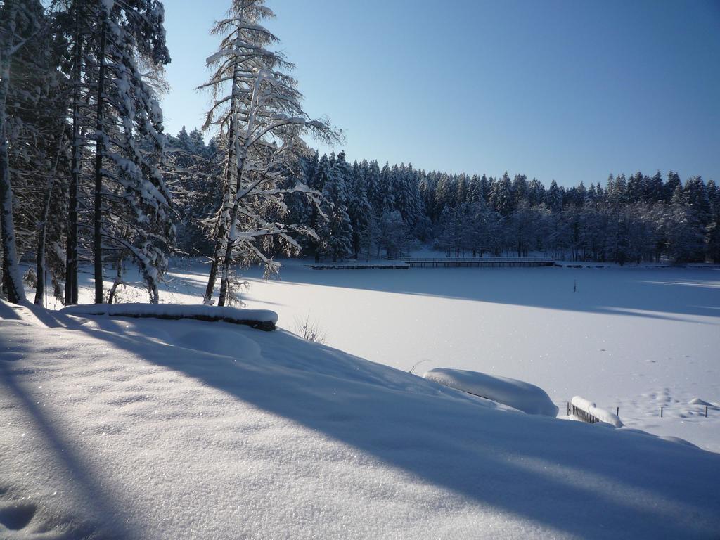 Hotel Waldsee Lindenberg im Allgäu Eksteriør bilde