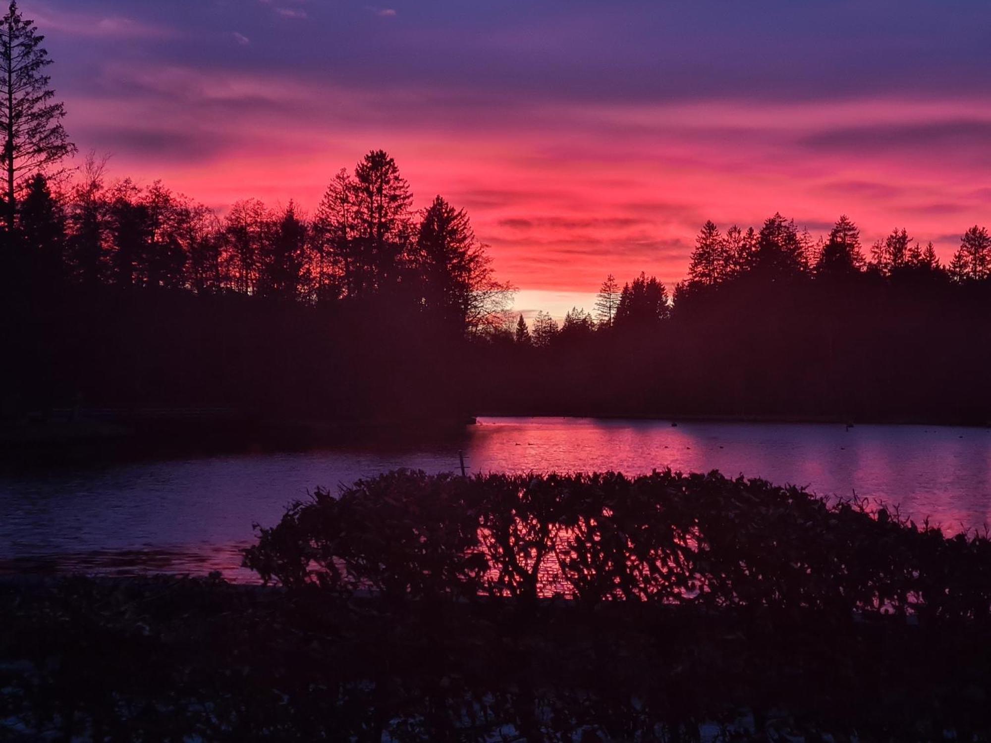 Hotel Waldsee Lindenberg im Allgäu Eksteriør bilde