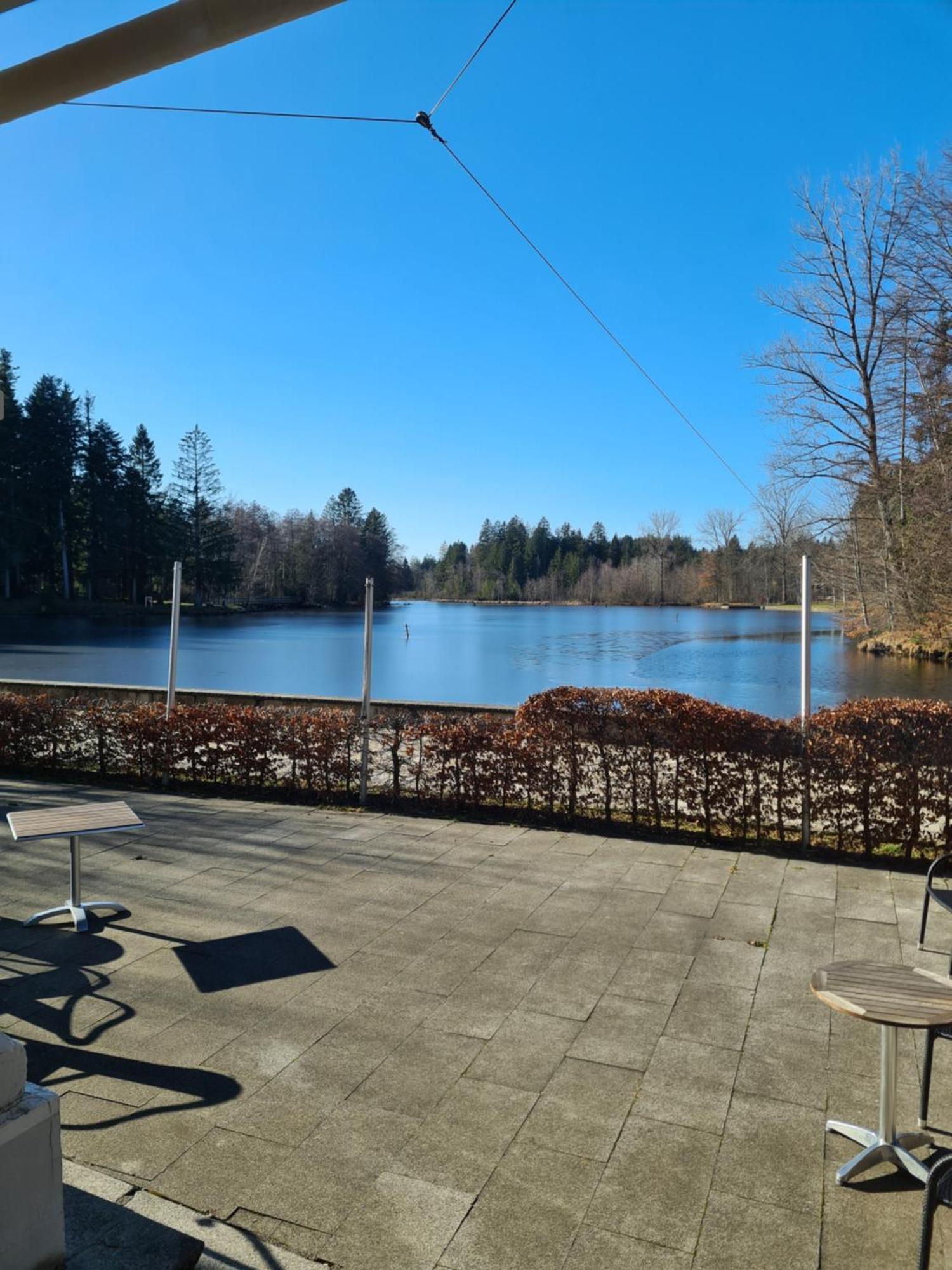 Hotel Waldsee Lindenberg im Allgäu Eksteriør bilde