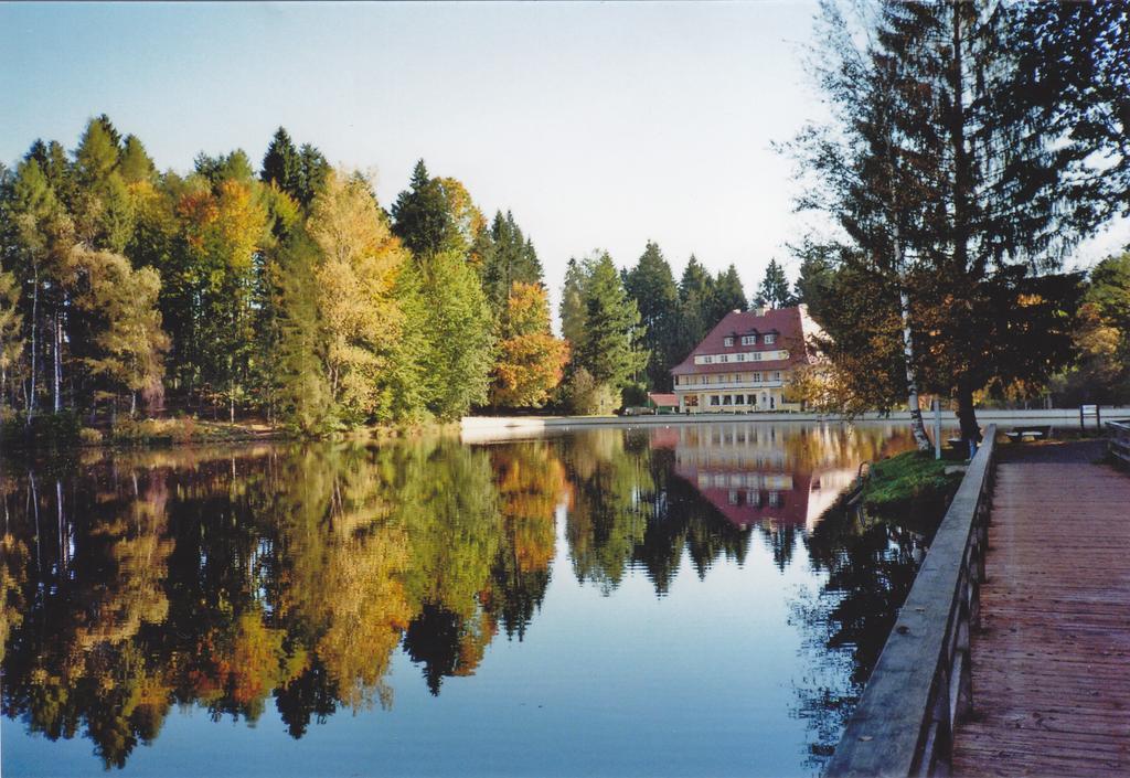 Hotel Waldsee Lindenberg im Allgäu Eksteriør bilde